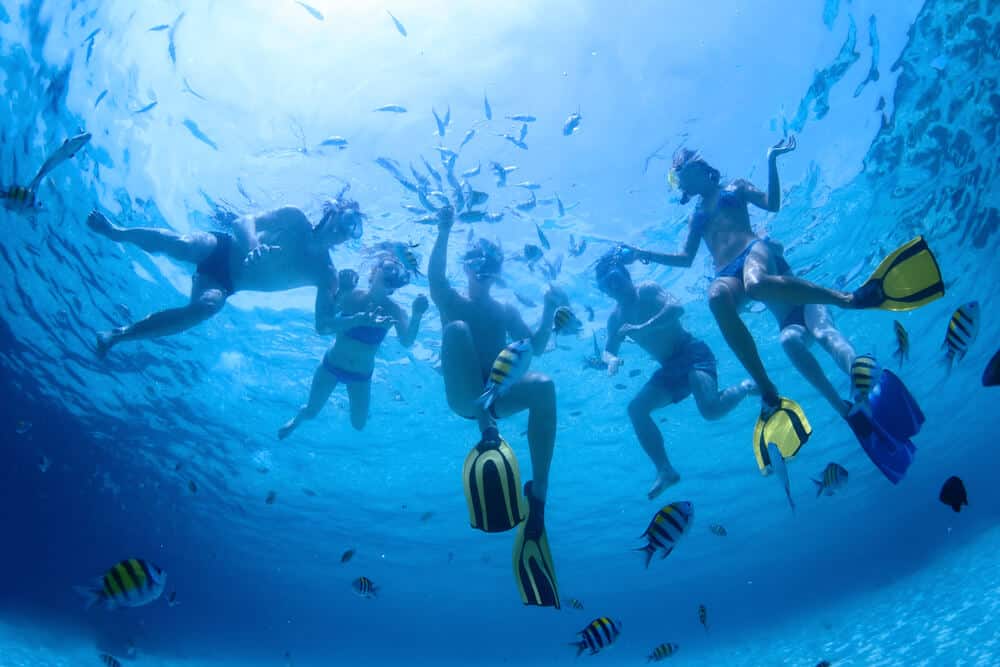 a group of snorkelers