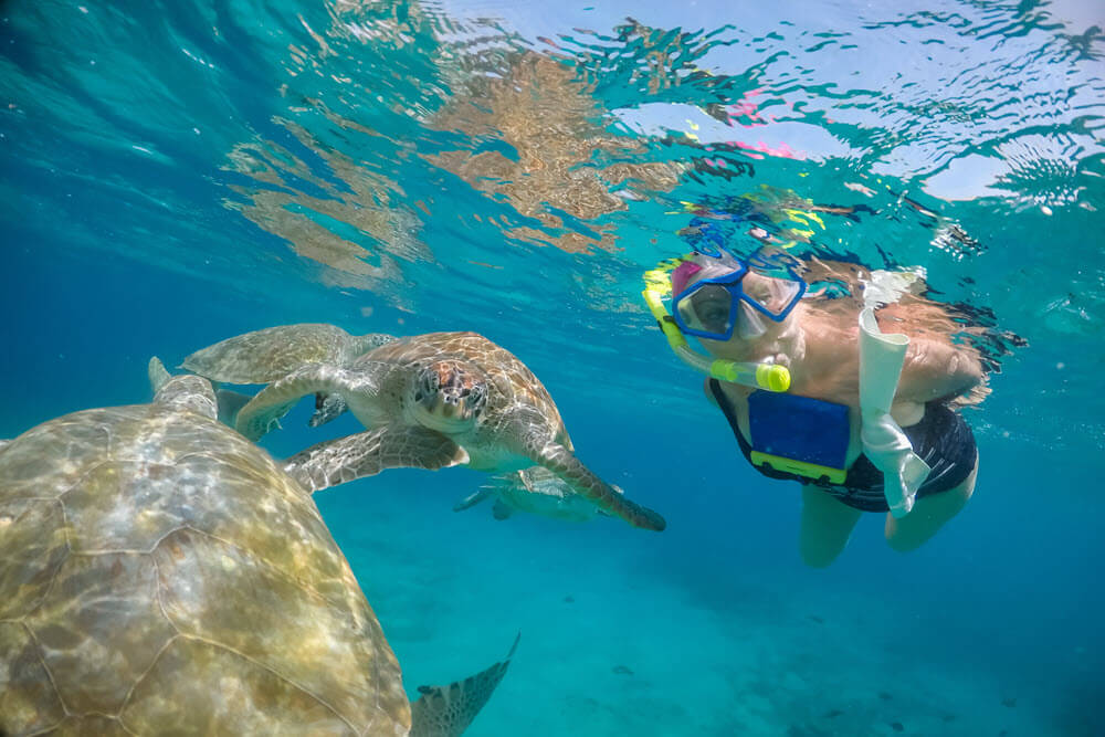 You are currently viewing Snorkeling in Redang Island